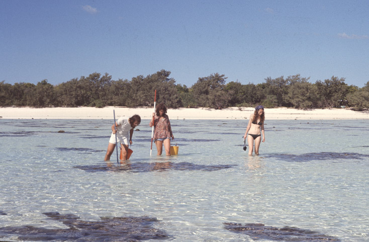 1975 Reef and Corals10