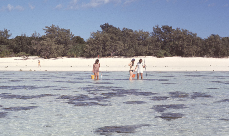 1975 Reef and Corals11