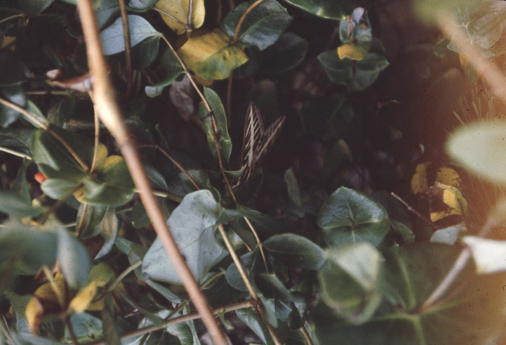 1979 RR1 Box 202 - 08