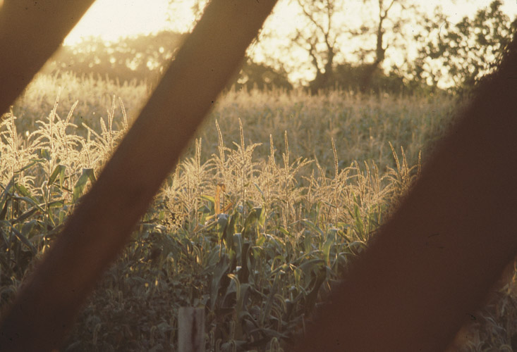 1979 RR1 Box 202 - 14