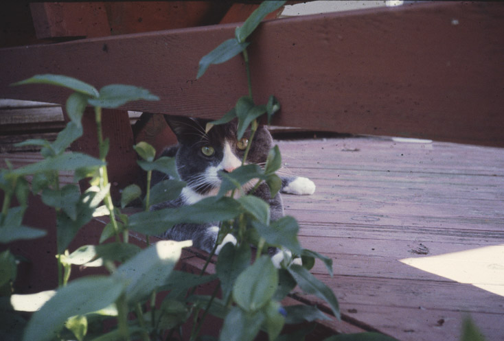 1980 Sabrina May and Billi August11